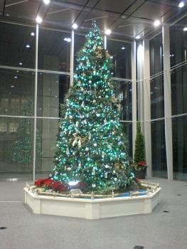 ファイル名: CA340034.jpg
ファイルサイズ: 20.5KB CA340034
